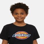 2026-04/dk0ksr27kbk1-8.jpg